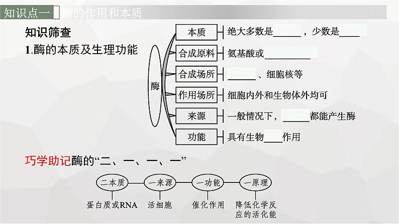 新教材高考生物一轮复习第3单元细胞的能量供应和利用第1讲降低化学反应活化能的酶课件06