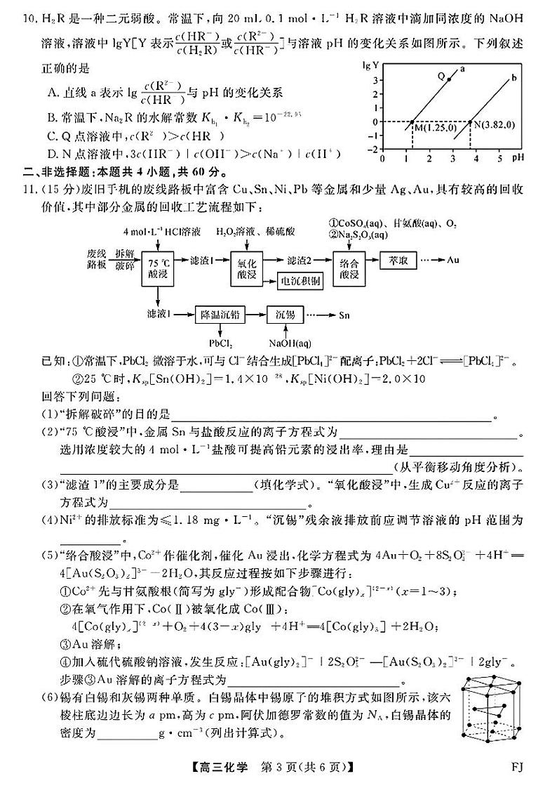 2024届福建泉州市、南平市高三下学期5月金科百校大联考测评化学试题+答案第3页