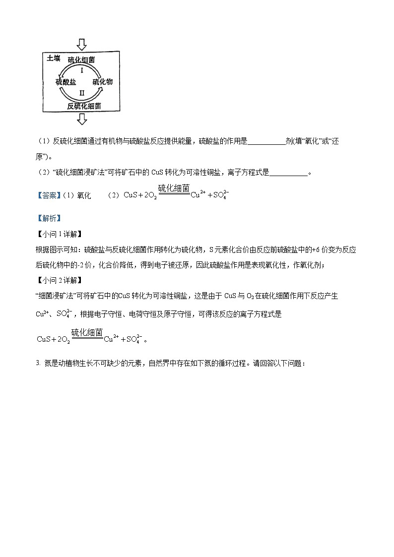 上海市大同中学2023-2024学年高一下学期期中考试化学试题（教师版）第3页