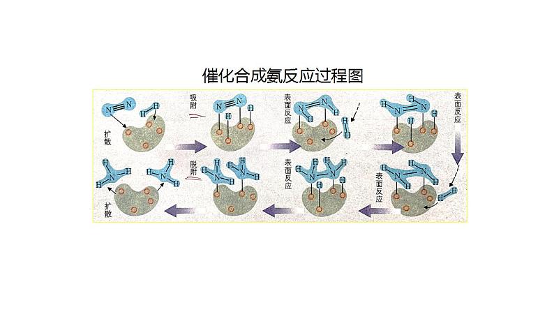 2024届高三化学二轮复习   催化剂的催化反应机理专题课件第2页