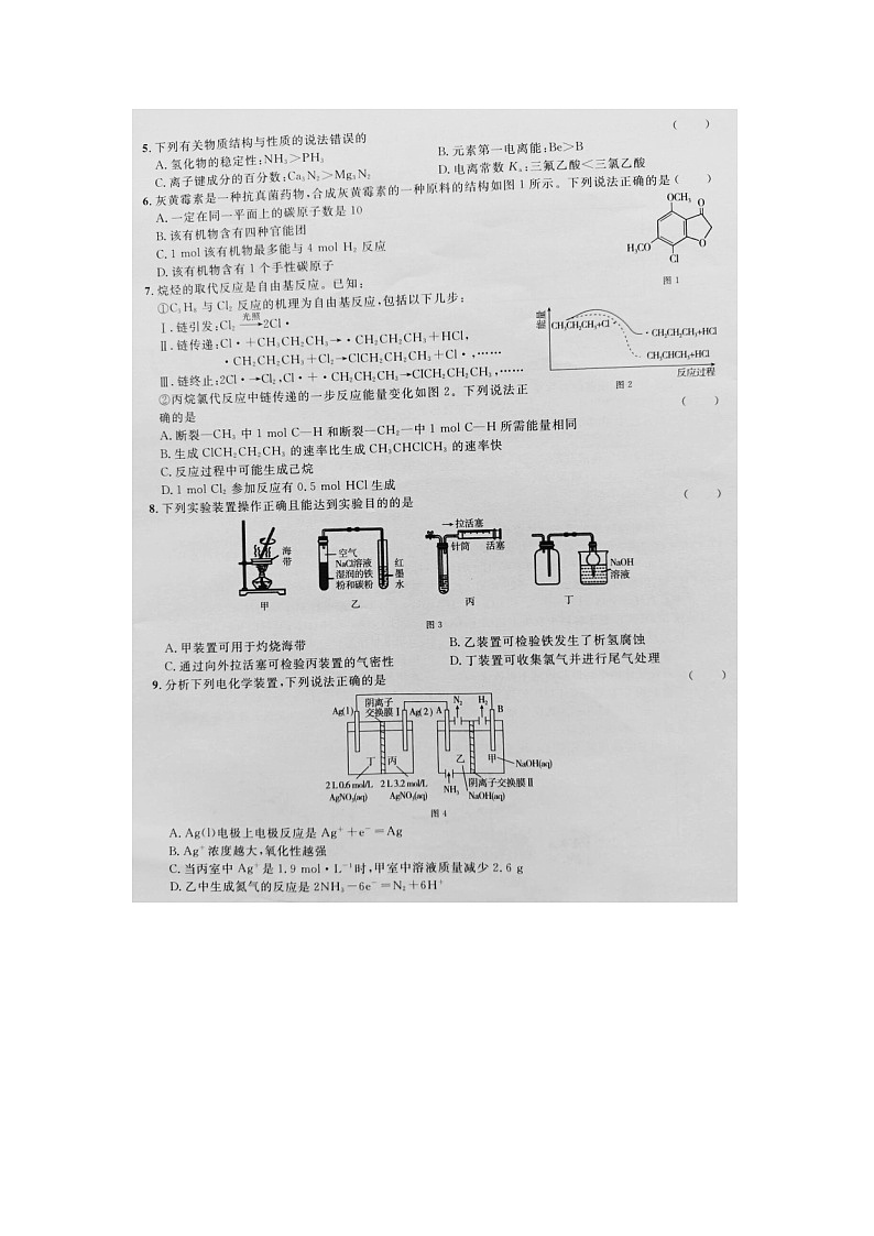 广西2024届高三下学期新教材新高考桂柳信息冲刺金卷（四）化学试卷（图片版）第2页
