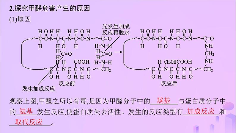 2025年高中化学第1章微项目甲醛的危害与去除__利用电负性分析与预测物质性质课件05