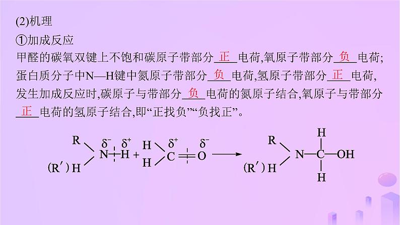 2025年高中化学第1章微项目甲醛的危害与去除__利用电负性分析与预测物质性质课件06