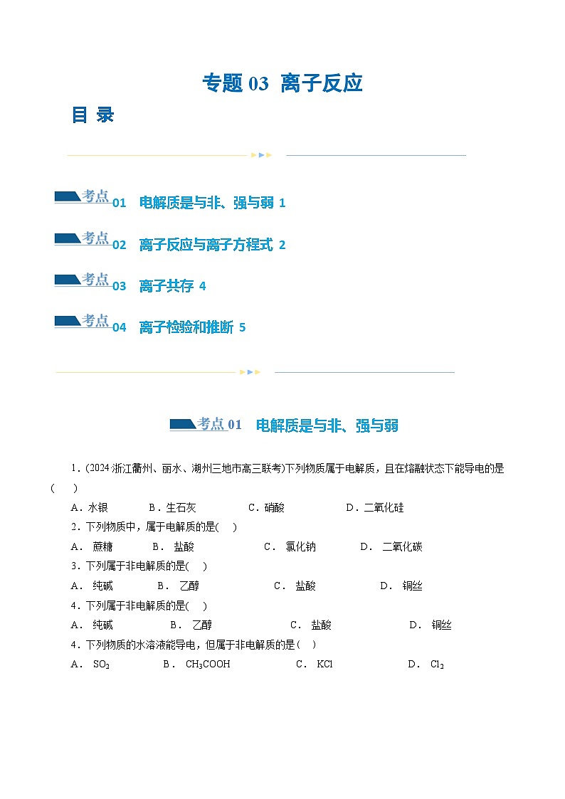 专题03 离子反应(练习)-2024年高考化学二轮复习讲练测（新教材新高考）(原卷版)第1页