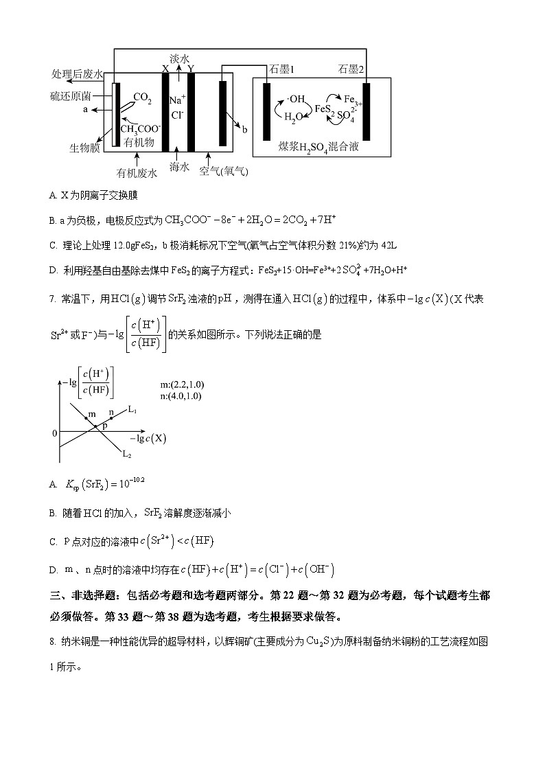 2024届四川省成都市树德中学高三下学期高考适应性考试理科综合试题-高中化学（原卷版+解析版）03