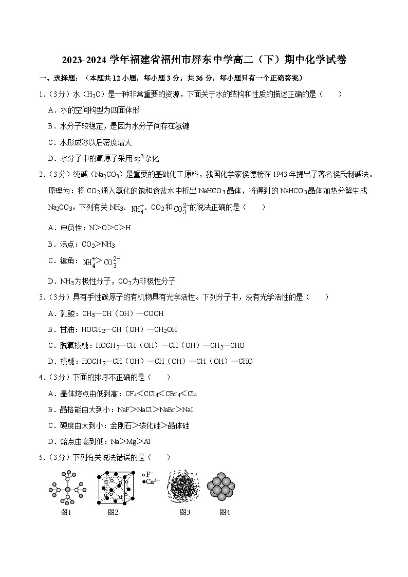 福建省福州屏东中学2023-2024学年高二下学期期中考试化学试题01
