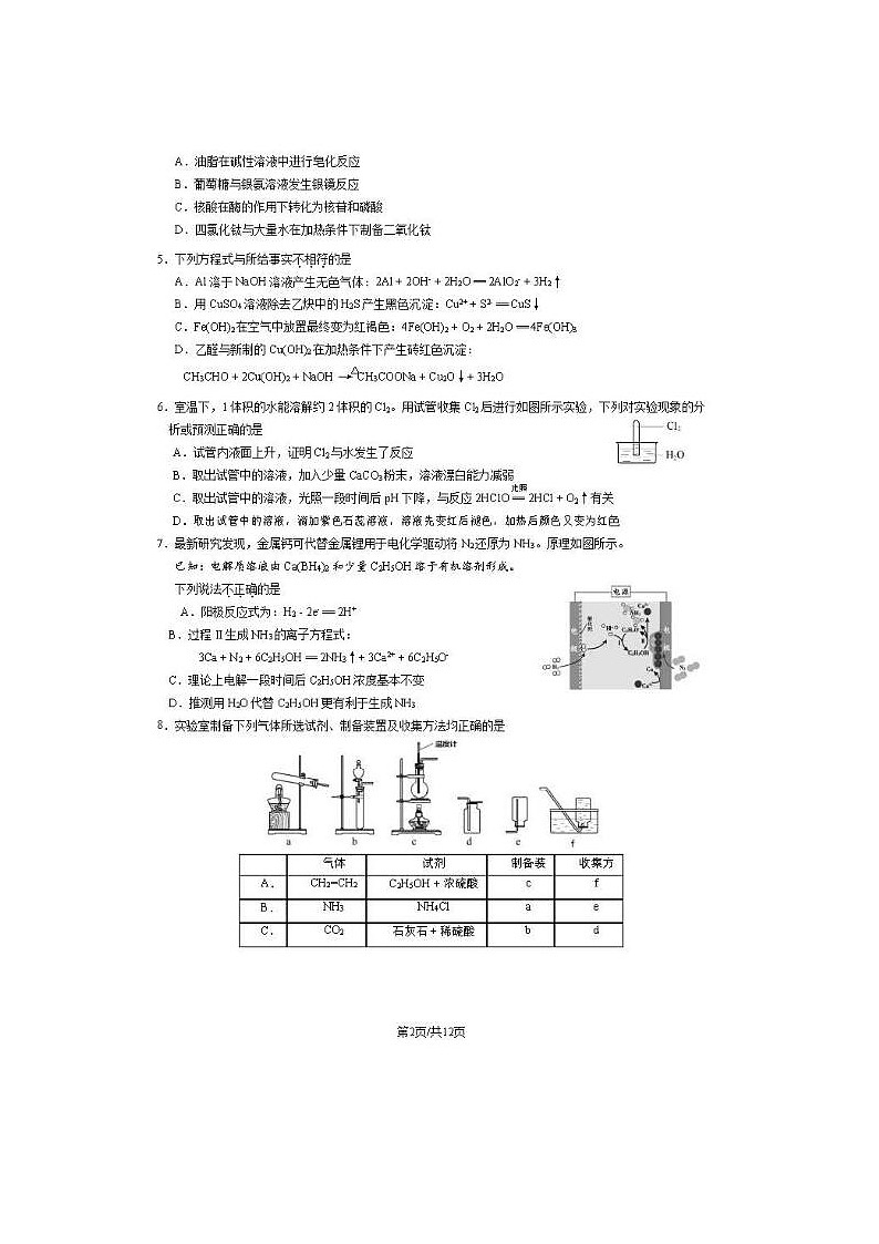 2024届北京朝阳高三一模化学试题第2页