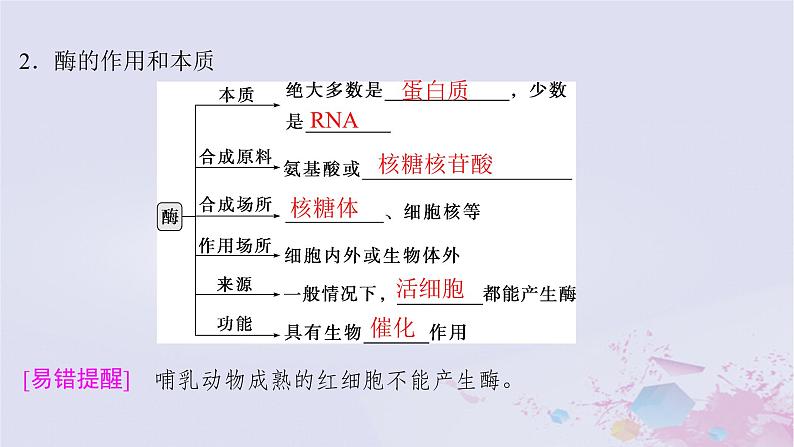 2025届高考生物一轮总复习必修1第三单元细胞的能量供应和利用第8讲降低化学反应活化能的酶课件第5页