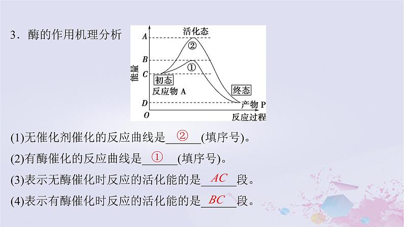 2025届高考生物一轮总复习必修1第三单元细胞的能量供应和利用第8讲降低化学反应活化能的酶课件第6页