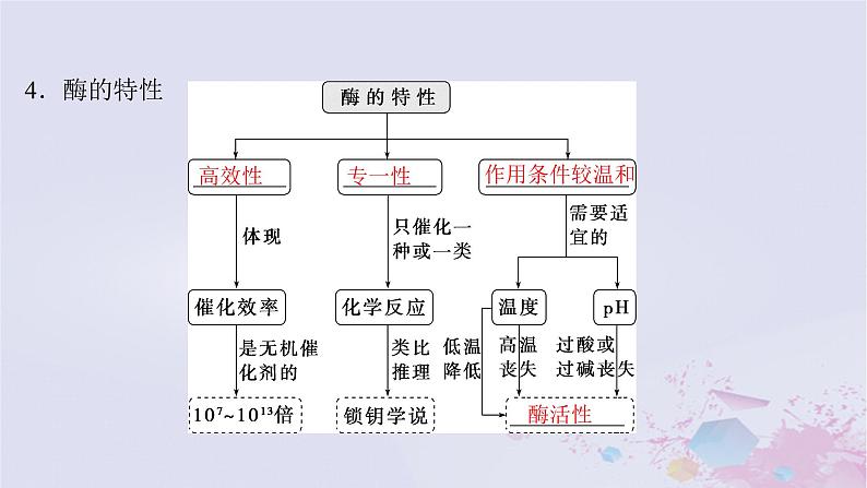 2025届高考生物一轮总复习必修1第三单元细胞的能量供应和利用第8讲降低化学反应活化能的酶课件第8页