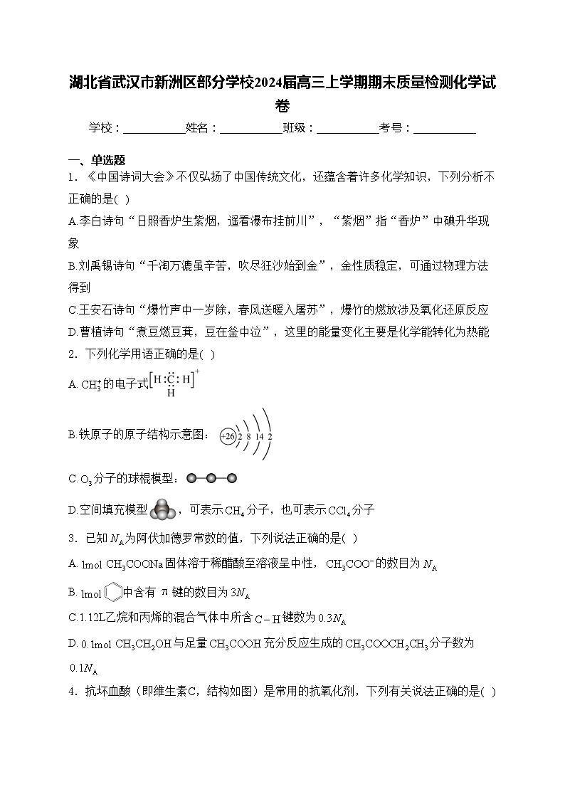湖北省武汉市新洲区部分学校2024届高三上学期期末质量检测化学试卷(含答案)第1页