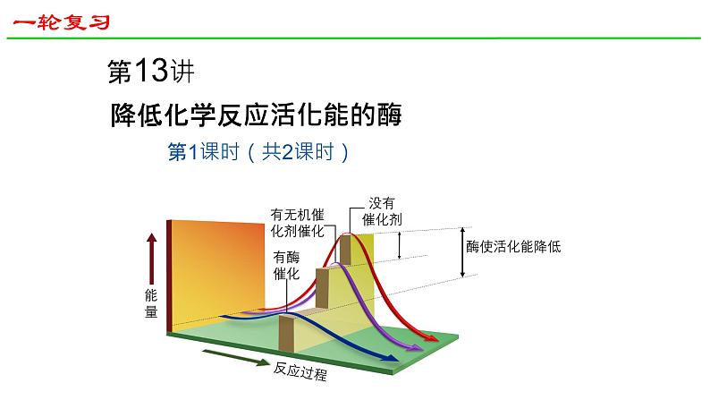 2025届高三生物一轮复习课件20：降低化学反应活化能的酶（第1课时）第1页