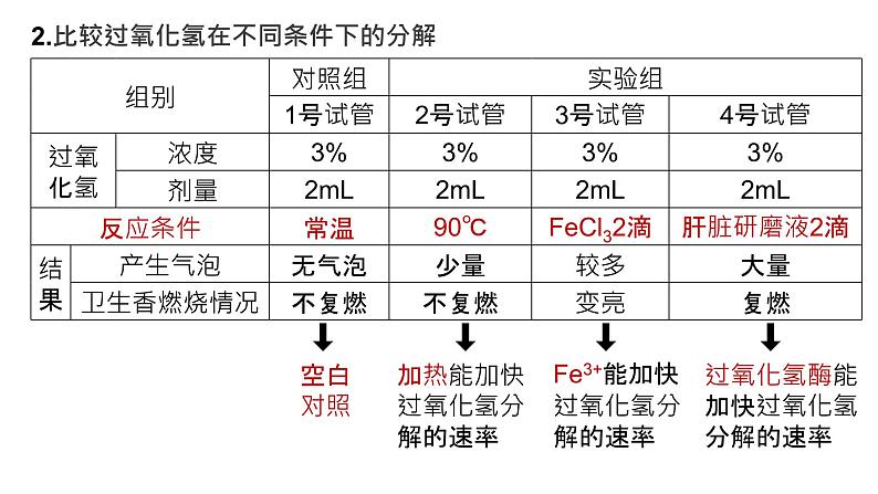 2025届高三生物一轮复习课件20：降低化学反应活化能的酶（第1课时）第3页