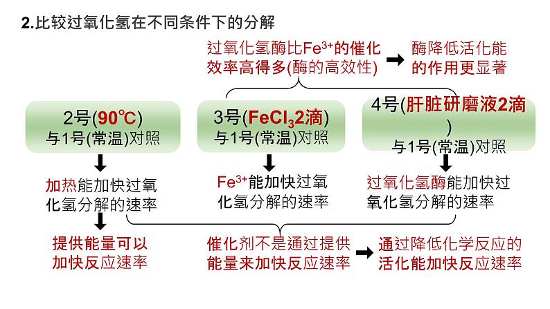 2025届高三生物一轮复习课件20：降低化学反应活化能的酶（第1课时）第4页