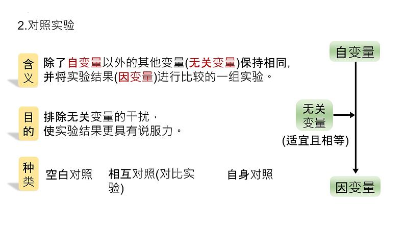 2025届高三生物一轮复习课件20：降低化学反应活化能的酶（第1课时）第7页