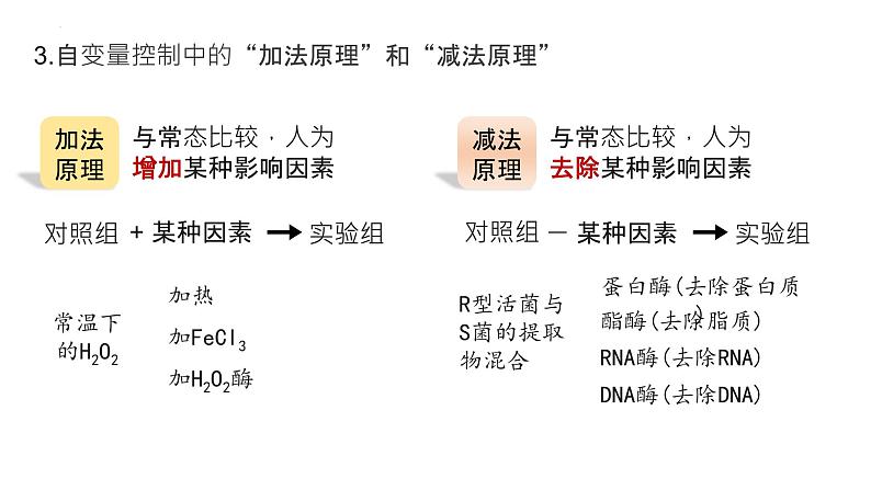 2025届高三生物一轮复习课件20：降低化学反应活化能的酶（第1课时）第8页