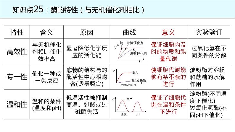 2025届高三生物一轮复习课件21：降低化学反应活化能的酶（第2课时）第2页