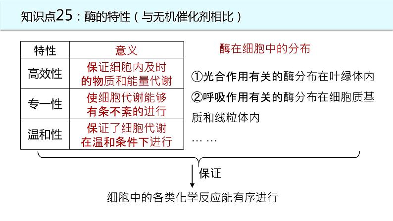 2025届高三生物一轮复习课件21：降低化学反应活化能的酶（第2课时）第3页