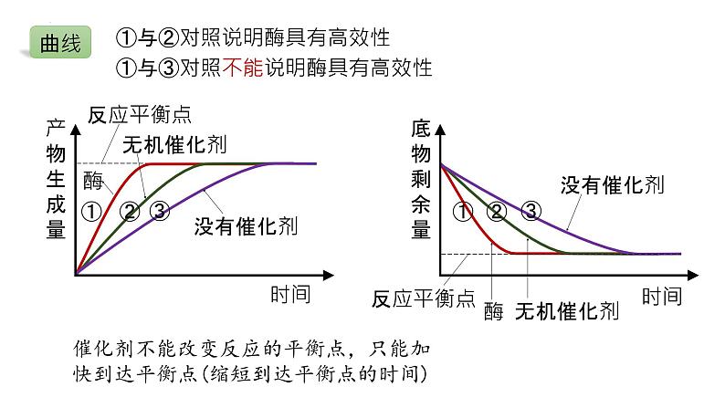 2025届高三生物一轮复习课件21：降低化学反应活化能的酶（第2课时）第5页