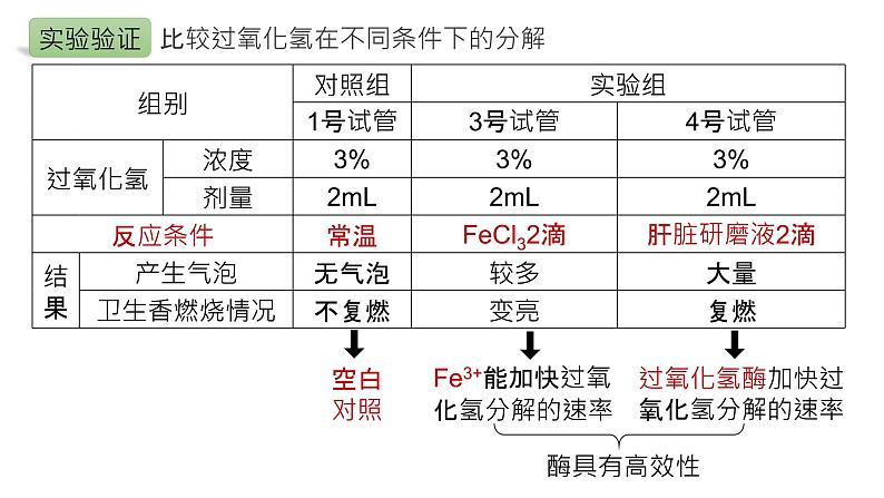 2025届高三生物一轮复习课件21：降低化学反应活化能的酶（第2课时）第6页