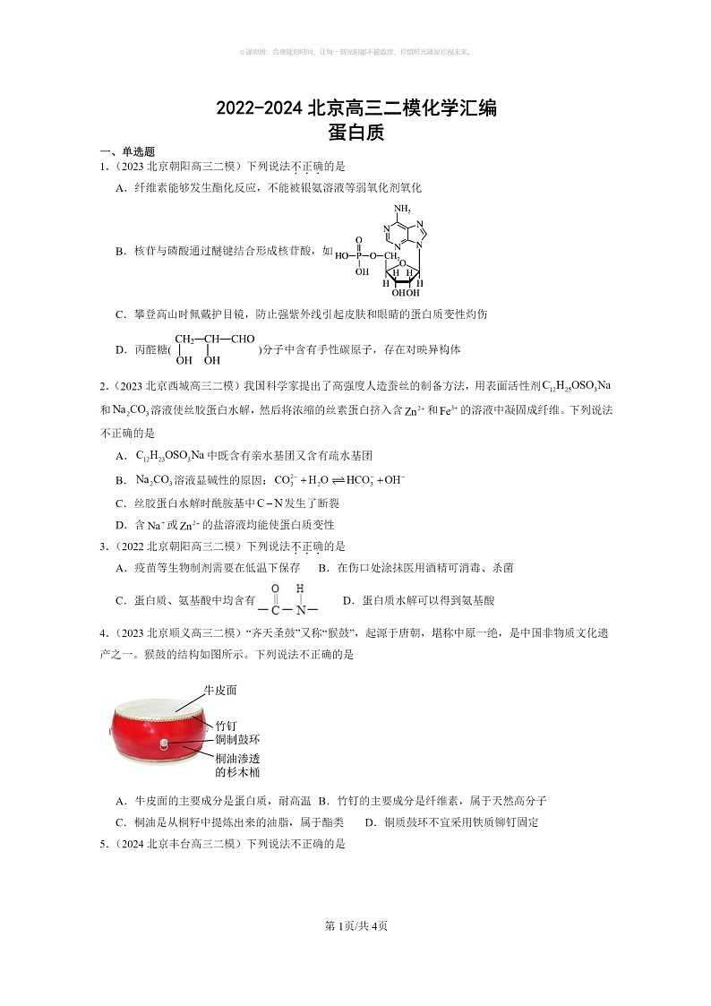 [化学]2022～2024北京高三二模化学试题分类汇编：蛋白质01