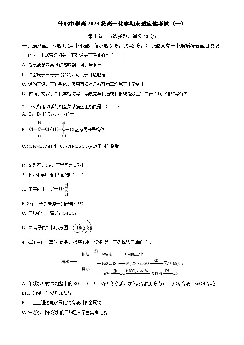 四川省德阳市什邡中学2023-2024学年高一下学期期末适应性考试化学试题（一）01