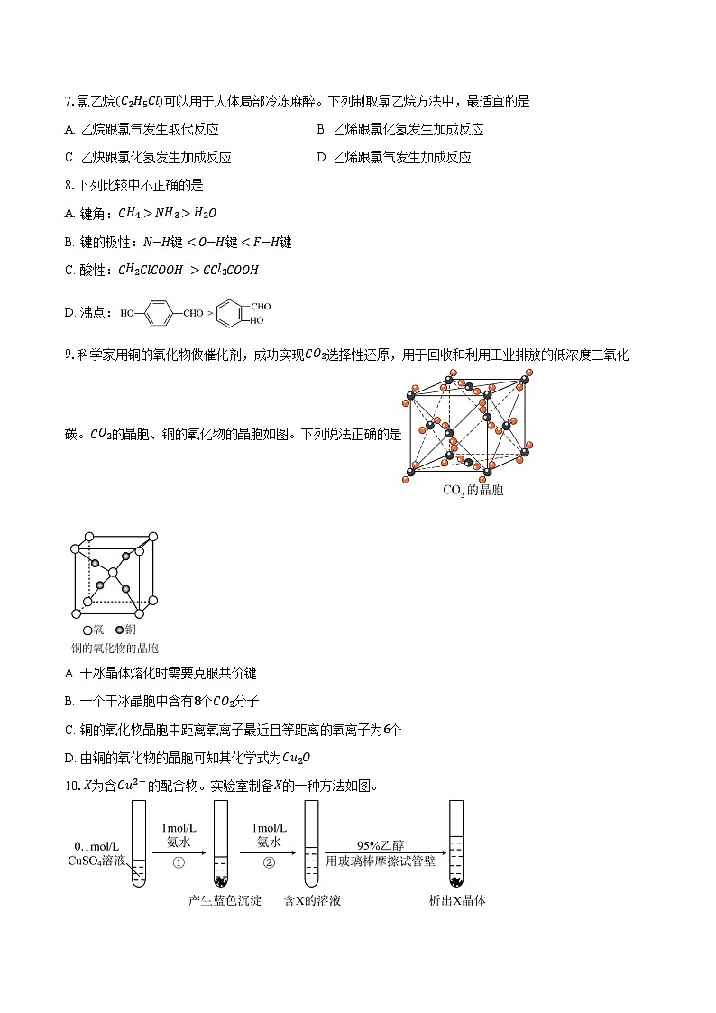 2023-2024学年北京市第三中学高二下学期期中考试化学试题（含答案）第2页
