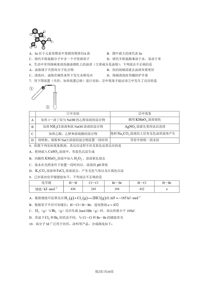 [化学]2023北京十一学校高二下学期期末试卷及答案第2页