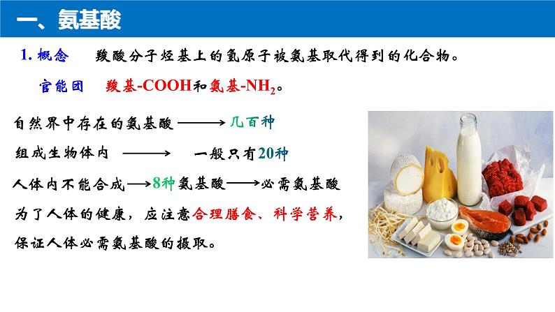 2023-2024学年人教版新教材选择性必修三 第四章第二节 蛋白质 课件03