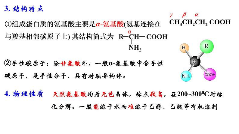 2023-2024学年人教版新教材选择性必修三 第四章第二节 蛋白质 课件05