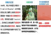2023-2024学年人教版新教材选择性必修三 第四章第三节 核酸 课件