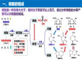 2023-2024学年人教版新教材选择性必修三 第四章第三节 核酸 课件