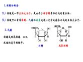 2023-2024学年人教版新教材选择性必修三 第四章第三节 核酸 课件