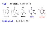 2023-2024学年人教版新教材选择性必修三 第四章第三节 核酸 课件