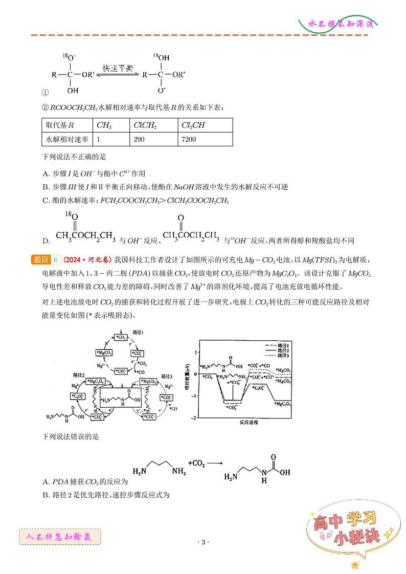 化学反应的热效应 反应机理--2024年高考真题和模拟题化学好题汇编03