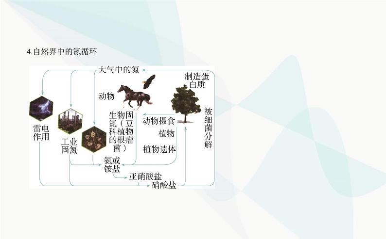 苏教版高中化学必修第二册专题七氮与社会可持续发展第一单元氮的固定课件05