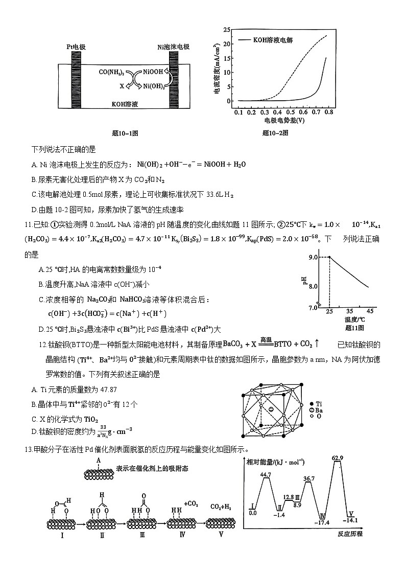 重庆市南开中学高2024届高三第五次质量检测化学试题第3页