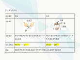 鲁科版高中化学必修第一册第1章认识化学科学第2节研究物质性质的方法和程序课件