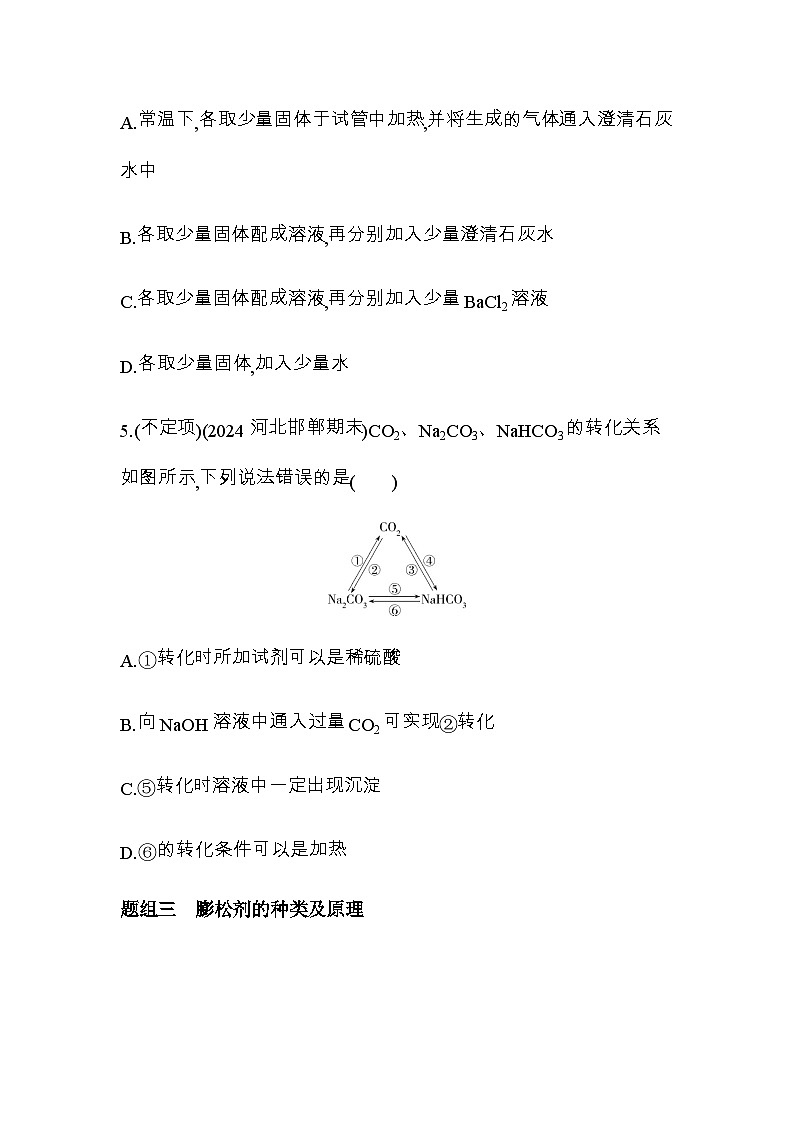 鲁科版高中化学必修第一册第1章认识化学科学第3节微项目探秘膨松剂练习含答案03