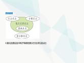 鲁科版高中化学必修第一册第2章元素与物质世界第3节氧化还原反应课件