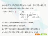 鲁科版高中化学必修第一册专题6制备及探究实验课件