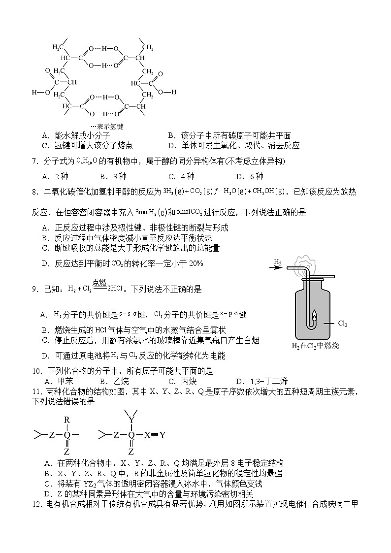 2024泸州龙马潭区高二下学期6月期末考试化学含答案第2页