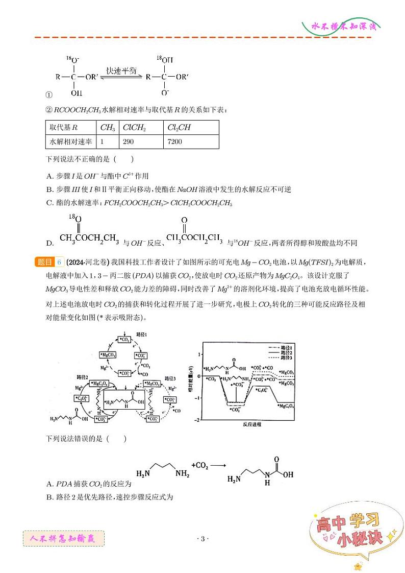 化学反应的热效应 反应机理--2024年高考真题和模拟题化学好题汇编03