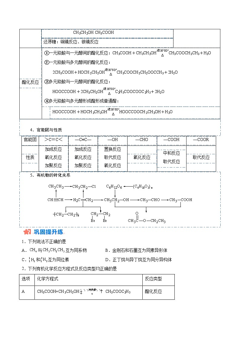 暑假作业08 同分异构体、反应类型等有机常考问题（原卷版）第3页