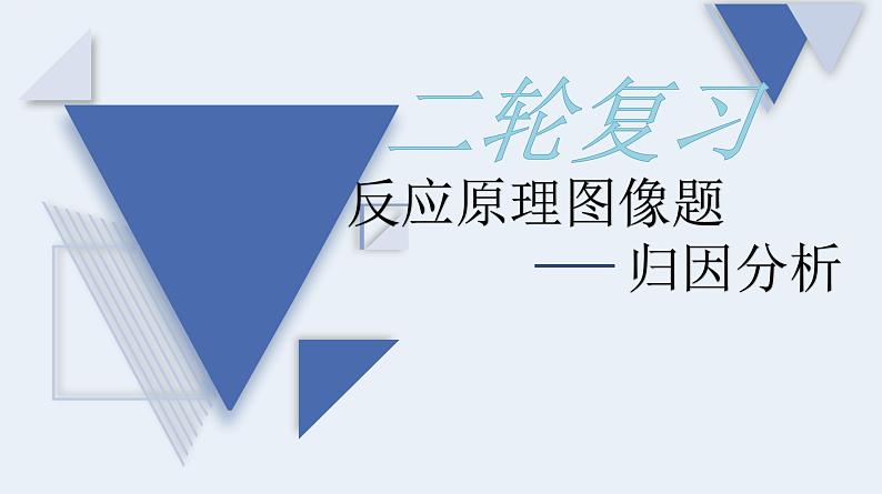 2024届高三化学二轮复习   归因分析 课件第1页