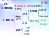 4.2.2羧酸的性质与应用 课件-2021-2022学年高二下学期化学苏教版（2020）选择性必修3