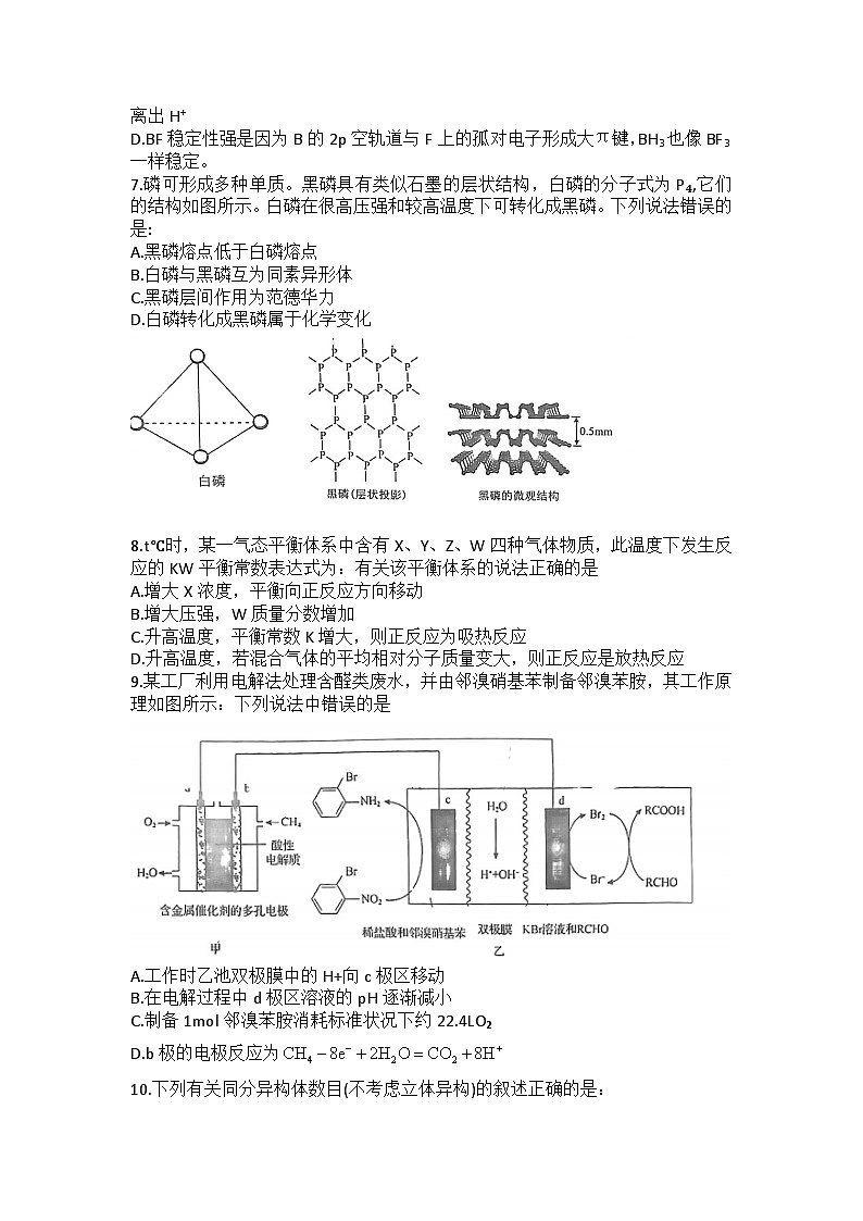 河南省信阳高级中学2023-2024学年高二下学期6月月考化学试题02