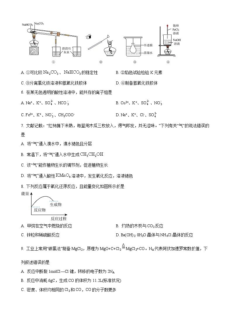 四川省泸州市江阳区2023-2024学年高一下学期6月期末考试化学试题02
