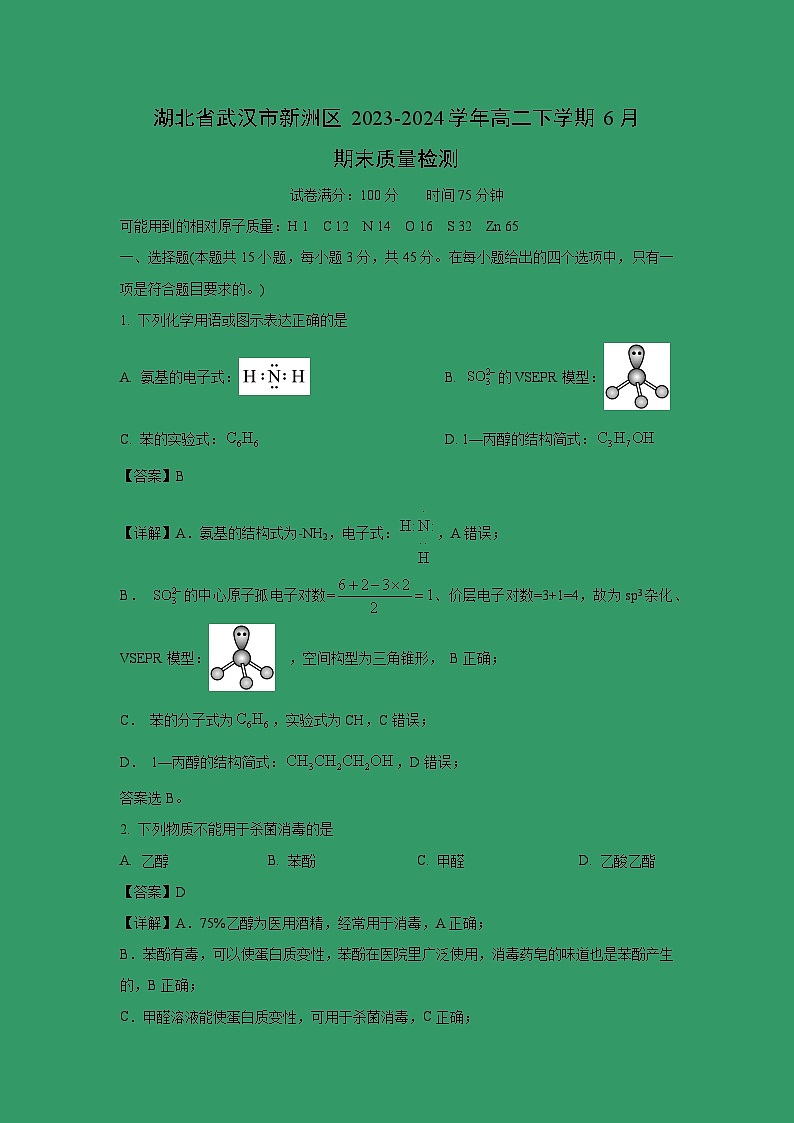 [化学]湖北省武汉市新洲区2023-2024学年高二下学期6月期末质量检测(解析版)01