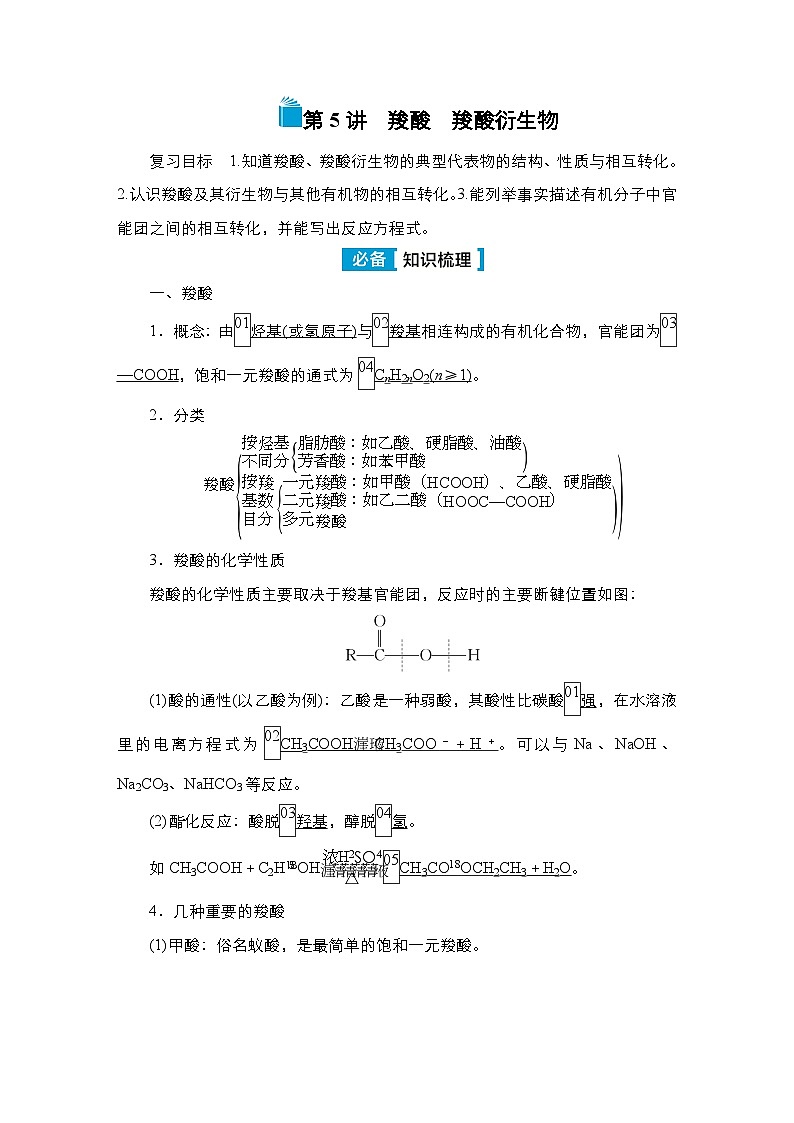 第十一单元 第五讲 羧酸 羧酸衍生物-2025年高考化学一轮复习方案课件01